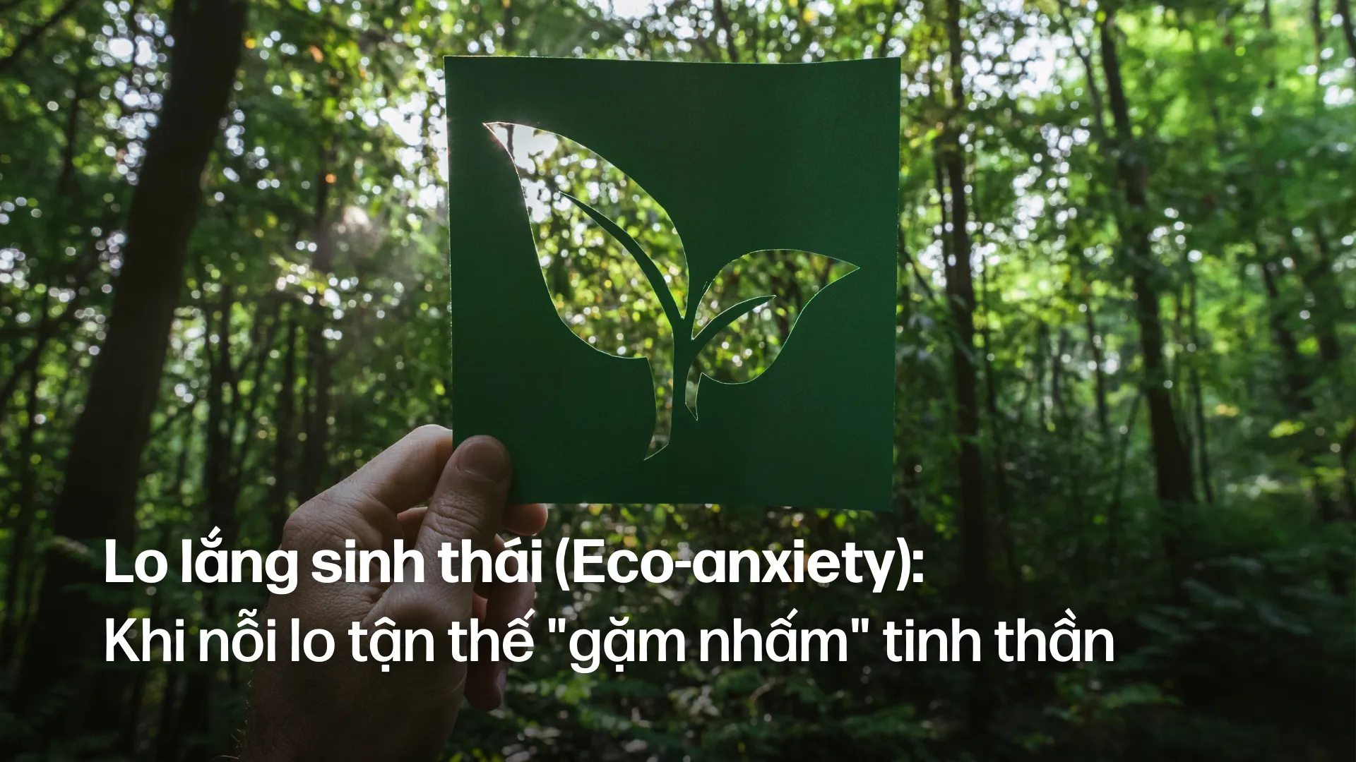 Eco-anxiety ở Millenials và Gen Z: Làm thế nào để không bị “tê liệt” trước tương lai?